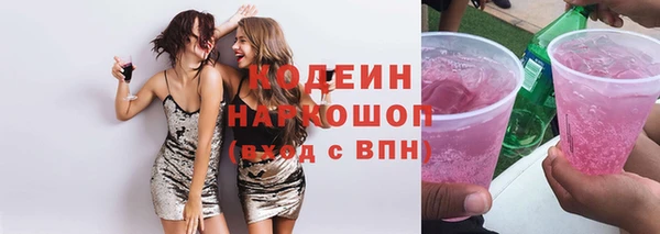гашик Алексин