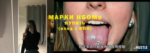 гашик Алексин