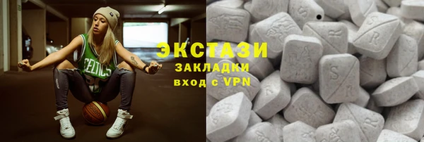 гашик Алексин