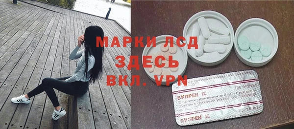 гашик Алексин