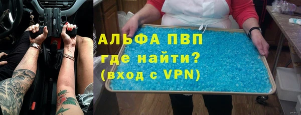 гашик Алексин