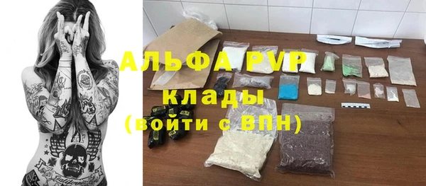 гашик Алексин
