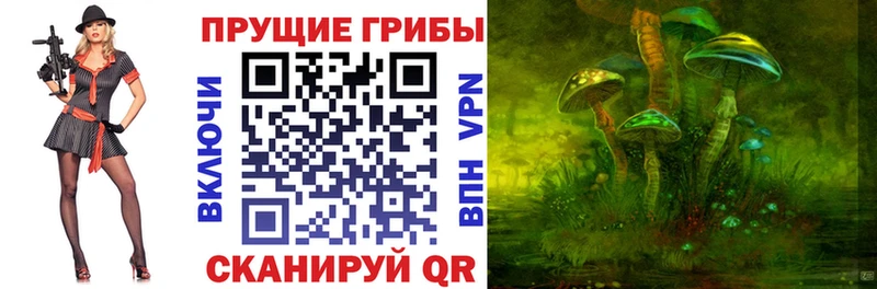 купить наркотик  Коряжма  Галлюциногенные грибы GOLDEN TEACHER 